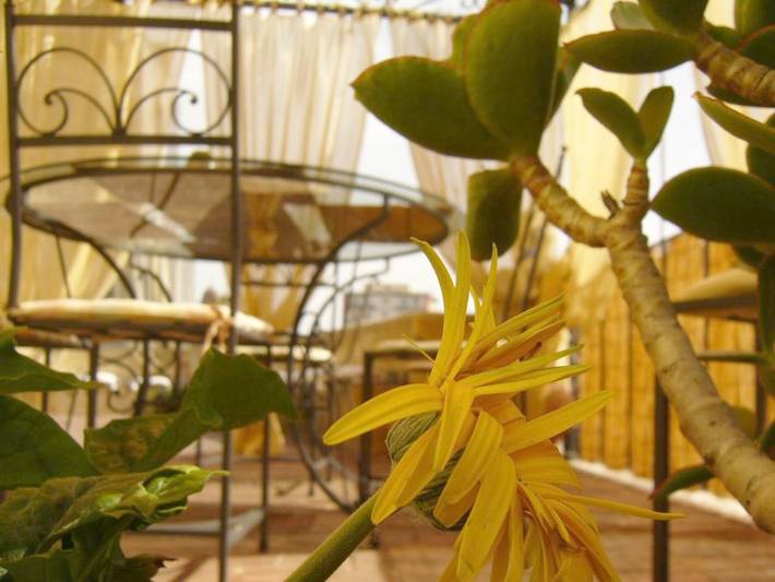 Chambre d’hôte pour 2 personnes, avec Terrasse à Acireale - 4