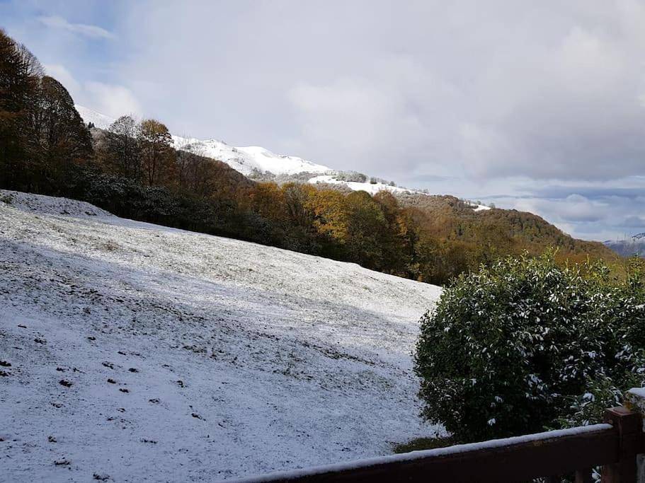 Chalet in Campan, Pyrénées