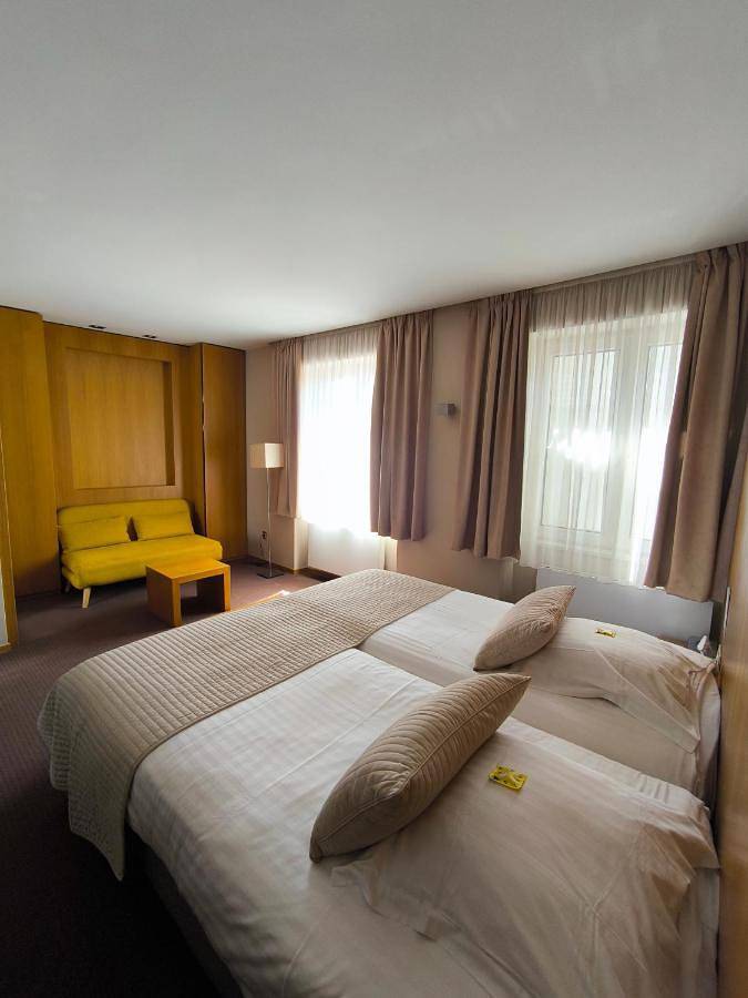 Hôtel pour 3 personnes, avec piscine et jardin, animaux acceptés à Biesheim - 3