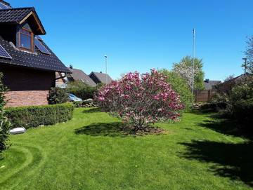 Ferienwohnung für 4 Personen in Kappeln, Kappeln & Umgebung, Bild 3