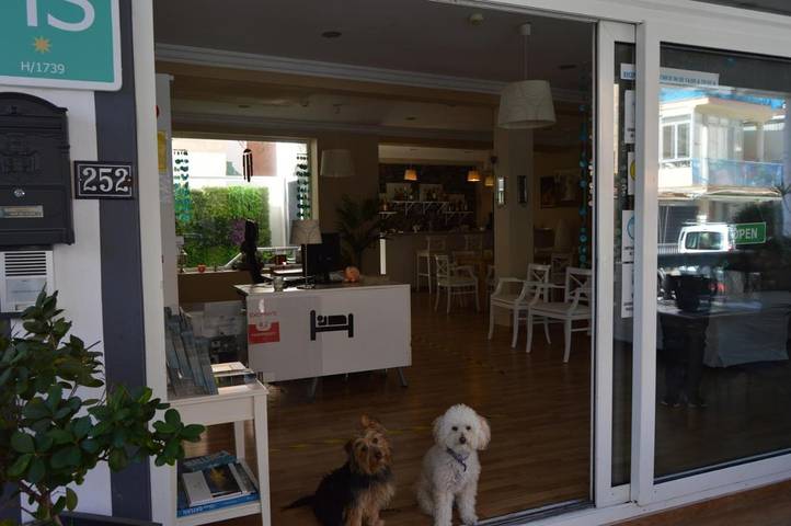 Maison d’hôte pour 2 personnes, avec balcon et vue à Palma de Majorque - 4