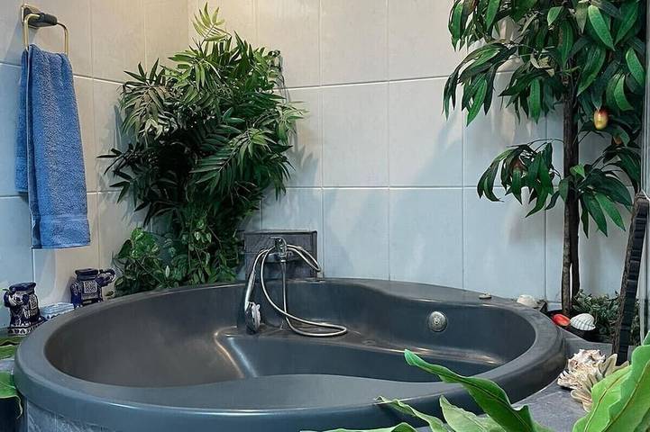 Bungalow für 3 Personen, mit Balkon, mit Haustier auf Teneriffa Nord - 4