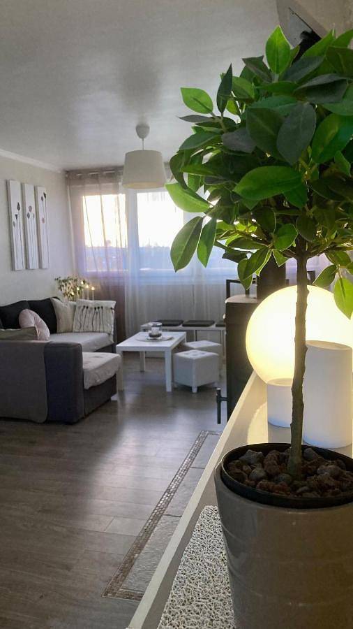 Location de vacances pour 12 personnes, avec jardin et vue, animaux acceptés à Guipavas - 3