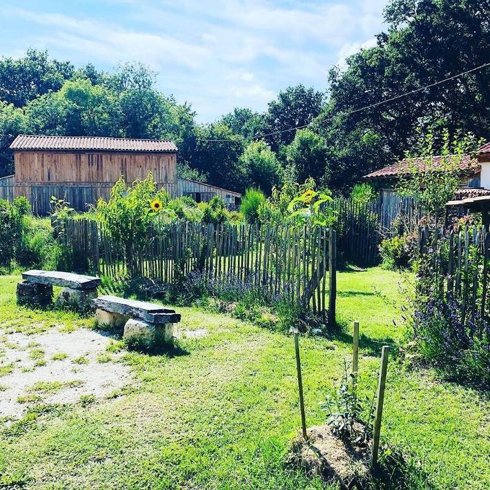 Location de vacances pour 12 personnes, avec piscine et jardin, animaux acceptés à Vensac - 3