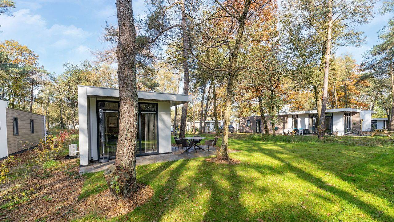Ferienhaus für 4 Personen (60 m²) in Haarle in Sallandse Heuvelrug