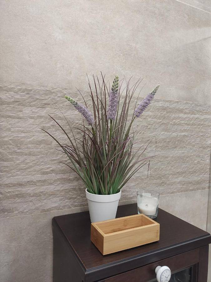 Casa rural para 4 personas, con vistas y jardín en Sierra del Sueve - 2