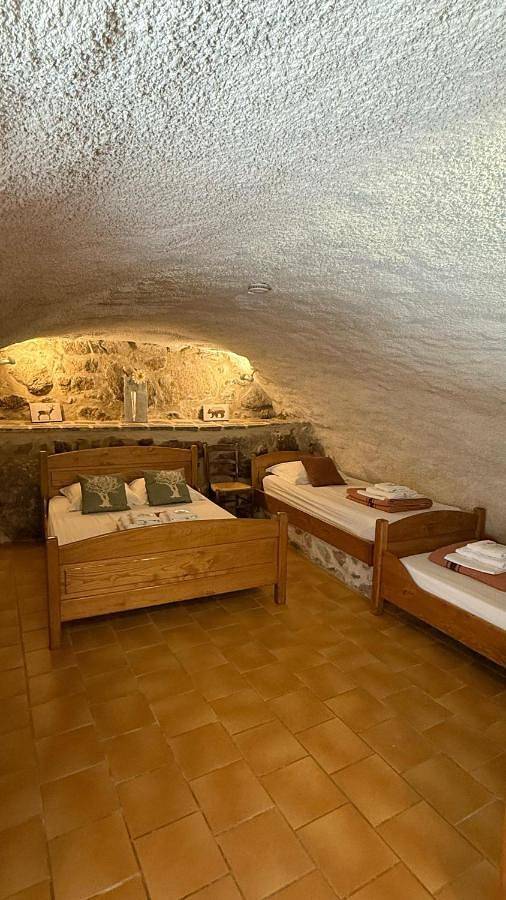 Gîte pour 10 personnes, avec jardin et vue à Bréau-et-Salagosse - 2