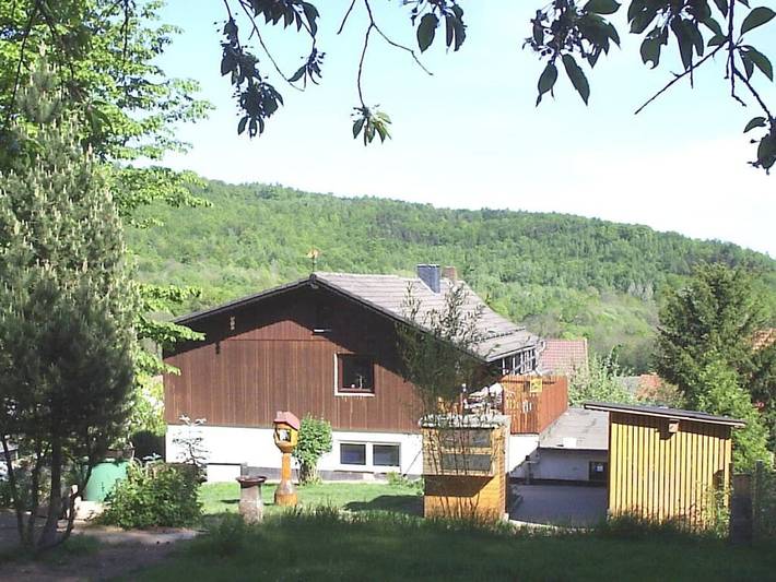 Wolf mit Kaminofen in Zorge, Harzvorland