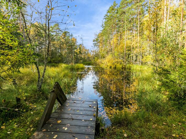 Kurjenrahka in Kaarlejoki, Eigentliches Finnland