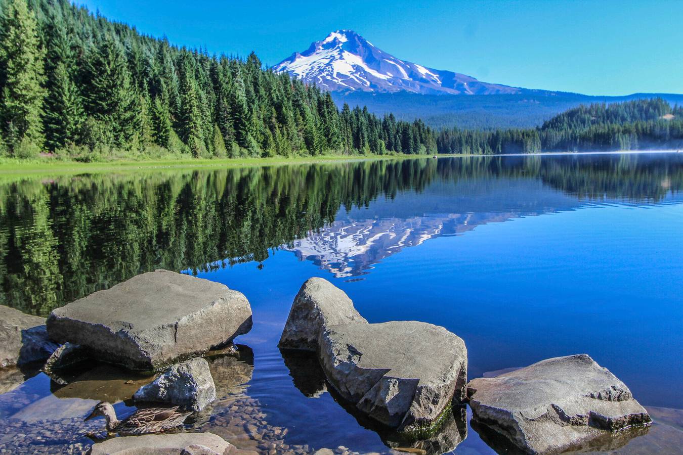 Apartamento entero, Whispering Woods I in Welches, Mount Hood