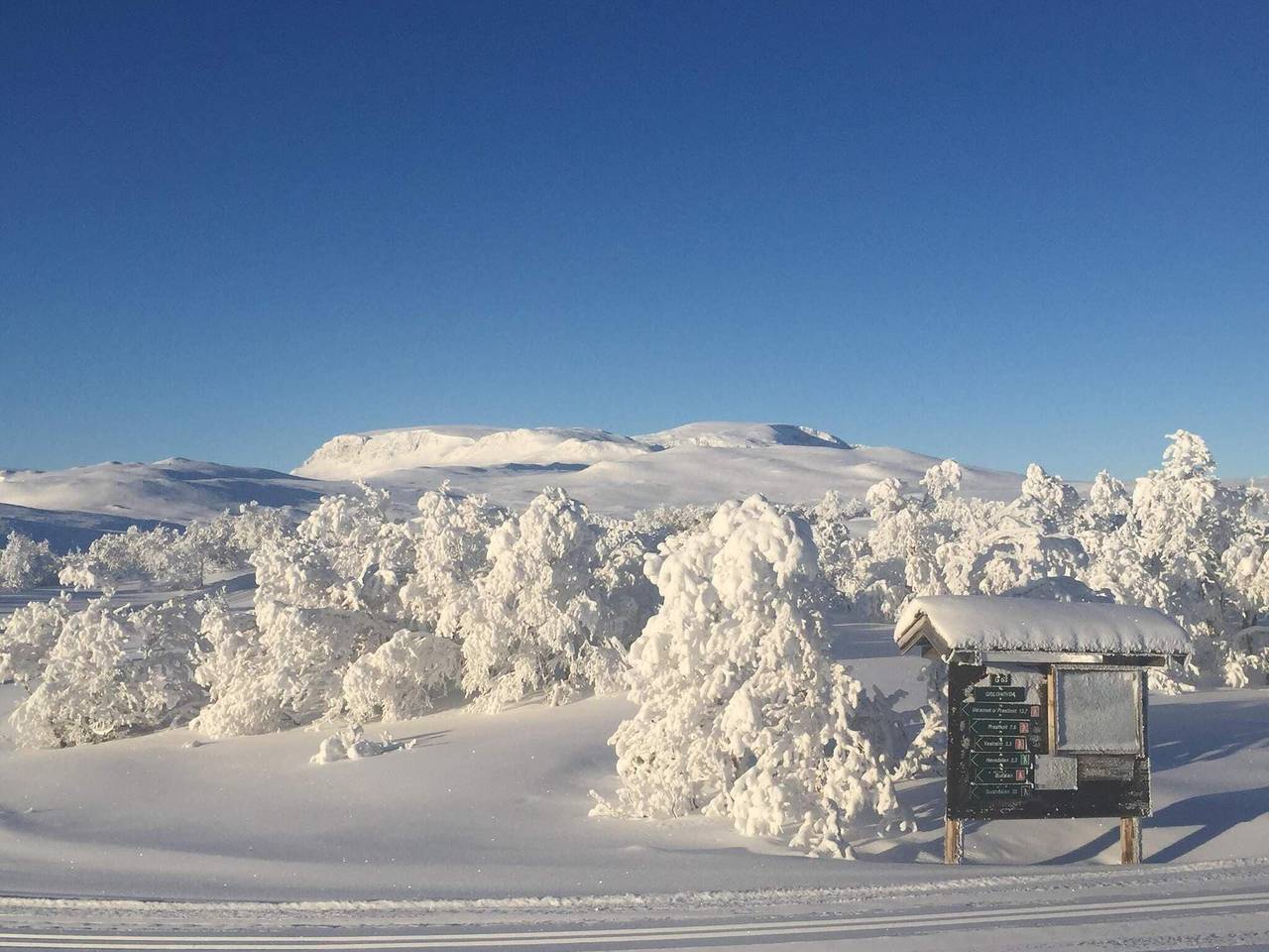 Ganze Wohnung, 4 Personen Ferienhaus in Geilo-By Traum in Geilo, Hol