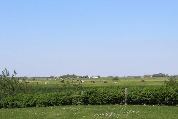 Ferienhaus für 5 Personen, mit Garten und Terrasse, mit Haustier in Nordfriesland - 3