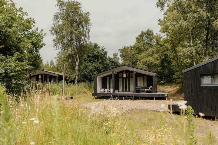 Ferienhaus für 5 Personen, mit Sauna in Wilsum - 2