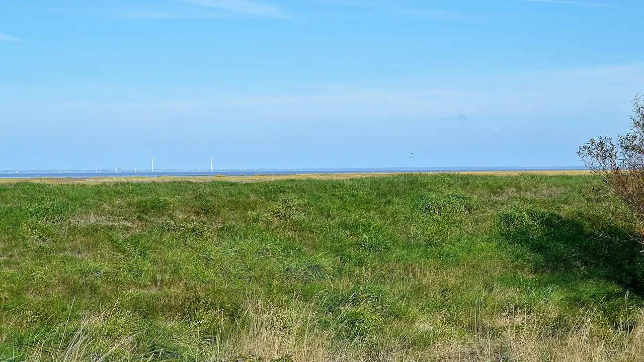 Ferienhaus für 6 Personen (130 m²) in Fanø in Sønderho, Wadden Sea National Park