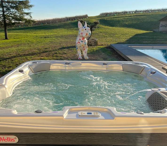 Gîte pour 10 personnes, avec jardin ainsi que piscine et vue à Saint-Quentin-de-Caplong - 3