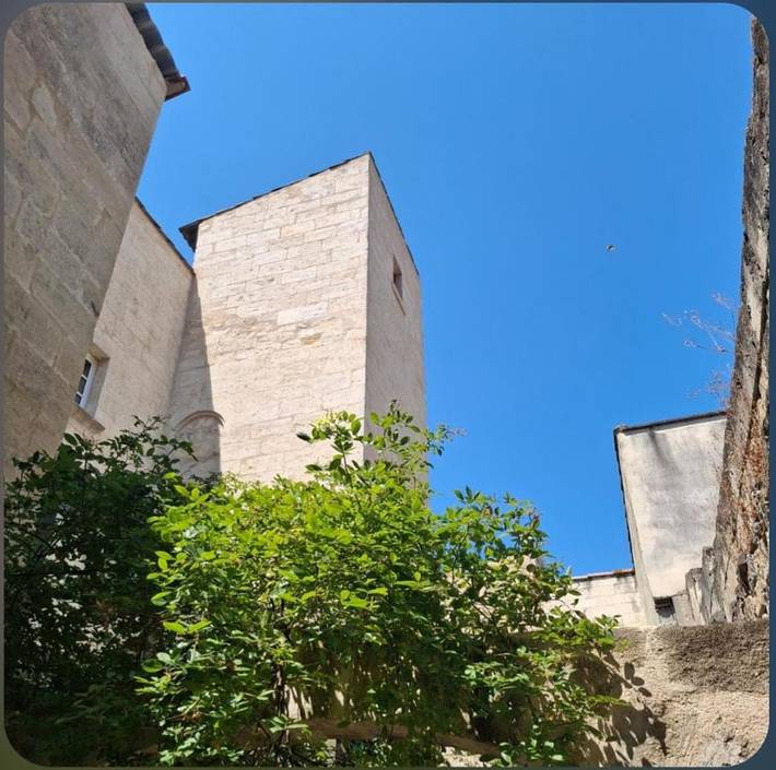 Chambre d’hôte pour 2 personnes, avec jardin et vue à Beaucaire - 4