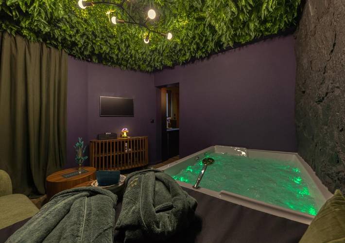 Gîte pour 2 personnes, avec jacuzzi à Villemoisson-sur-Orge