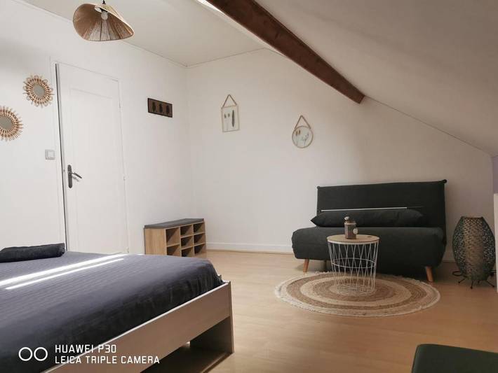 Chambre d’hôte pour 4 personnes, avec terrasse et jardin à Arnage - 3