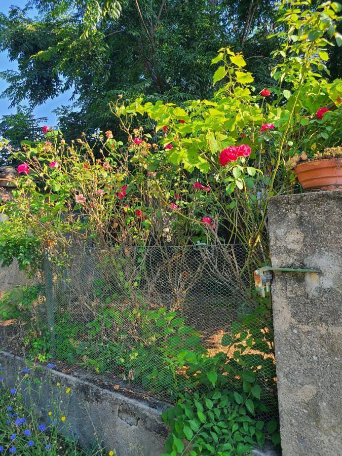 Gîte pour 2 personnes dans Arthès - 3