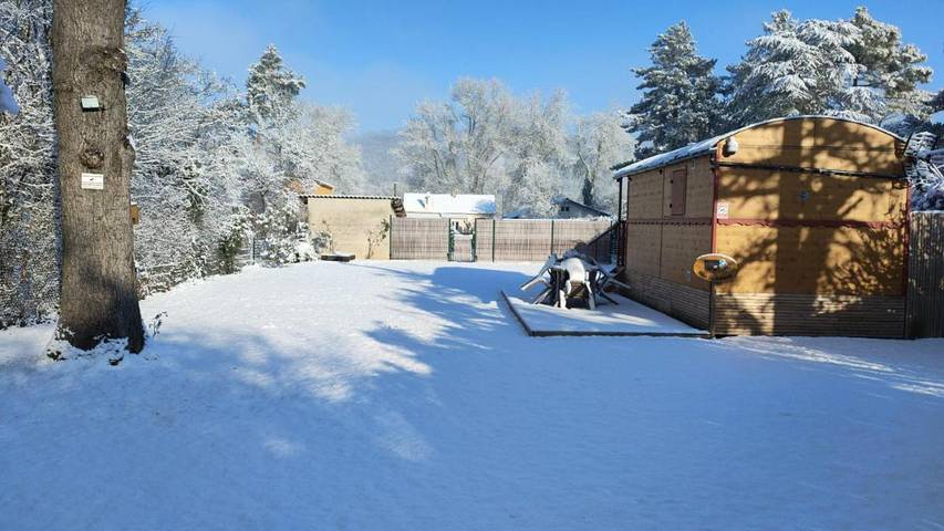 Tente pour 3 personnes, avec vue ainsi que vue sur le lac et jardin dans Île de France - 3