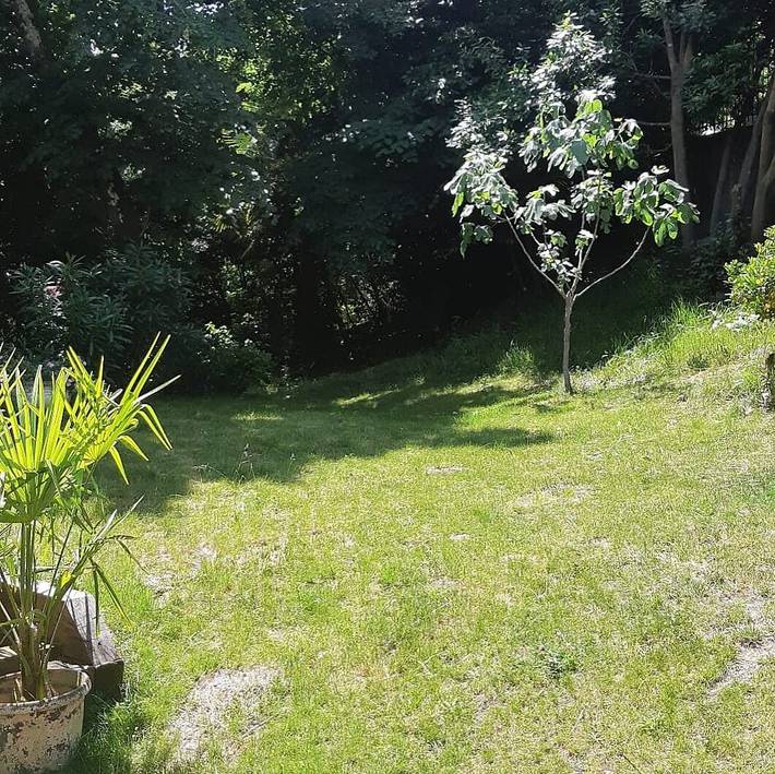 Chambre d’hôte pour 4 personnes, avec jardin à Arcachon - 3