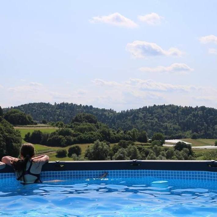 Location de vacances pour 5 personnes, avec Jacuzzi et Terrasse ainsi que Jardin et Piscine dans Novo mesto - 2