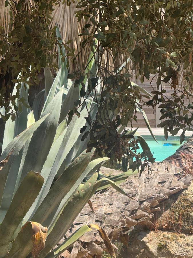 Villa pour 7 personnes, avec Jacuzzi et Terrasse ainsi que Piscine et Vue à Soulac-sur-Mer - 3