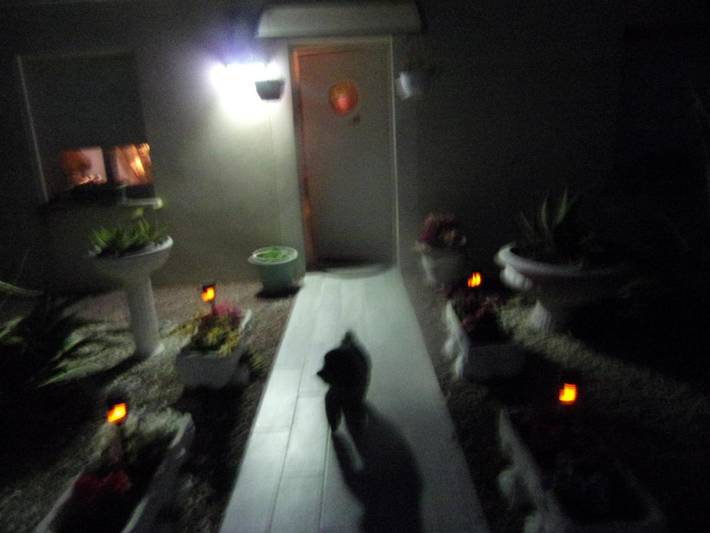 Gîte pour 2 personnes, avec jardin et vue à Tonnay-Charente - 2