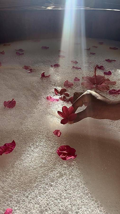 Lodge pour 2 personnes, avec piscine et jacuzzi ainsi que jardin et sauna en Martinique - 2