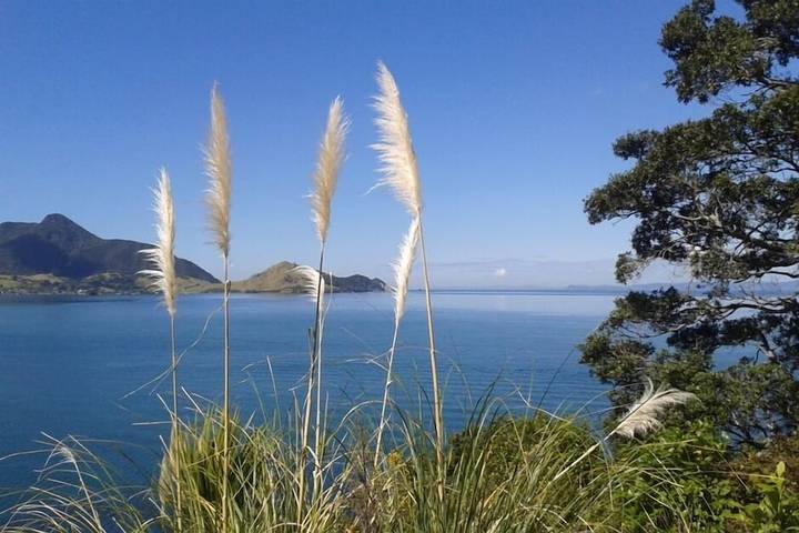 Gîte pour 3 personnes, avec jardin dans Nouvelle-Zélande - 3