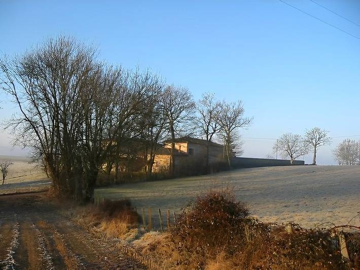 Chambre d’hôte pour 2 personnes, avec jardin ainsi que jacuzzi et piscine dans la Loire - 4