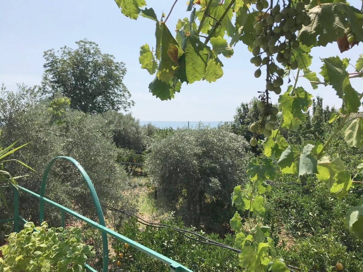 Arancetodamare_Artemide in Trebisacce, Golfo di Taranto