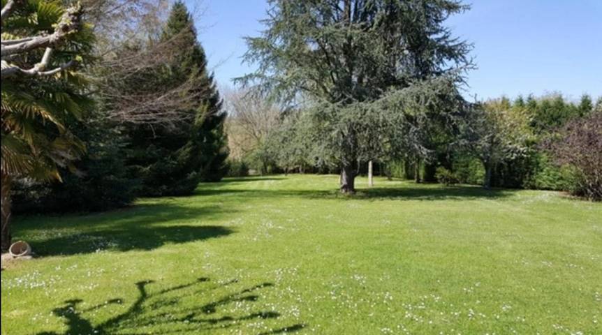 Maison d’hôte pour 22 personnes, avec jardin et sauna ainsi que piscine et vue, animaux acceptés dans les Hautes-Pyrénées - 3