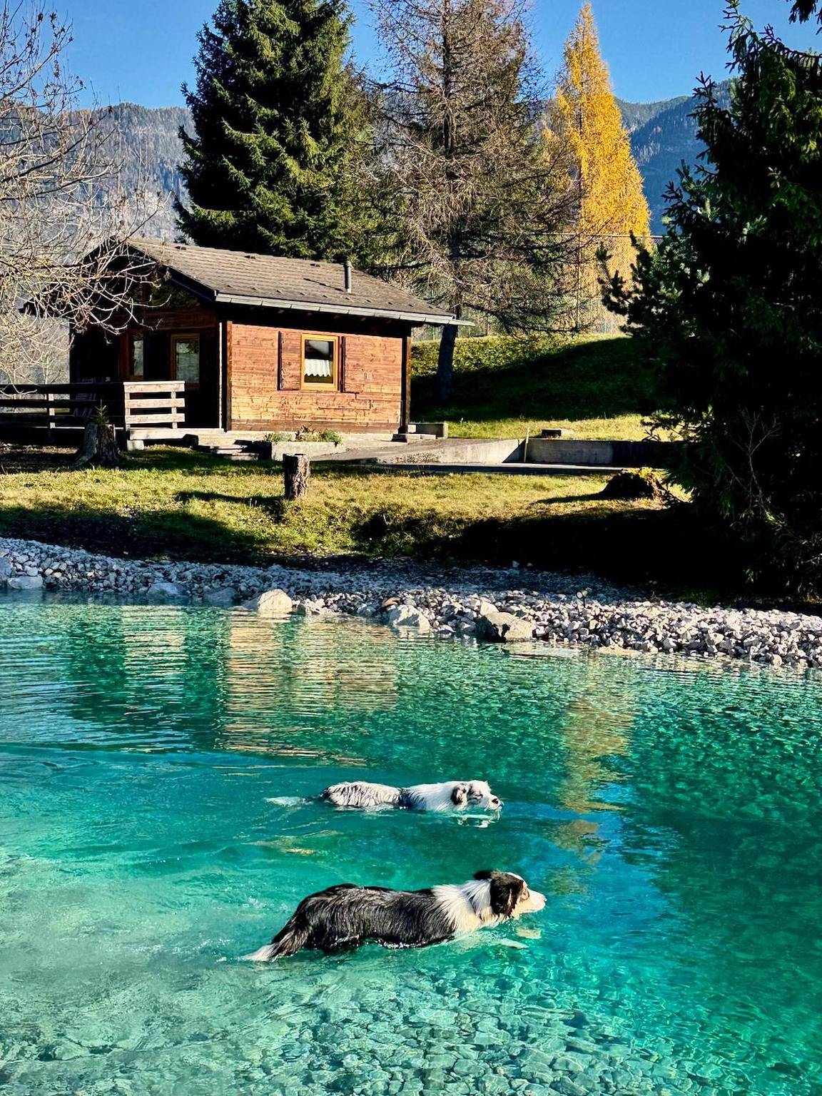 Haustierfreundliche Berghütte mit Teich und Garten in Pieve di Cadore in den Dolomiten in Pieve di Cadore, Östliche Dolomiten