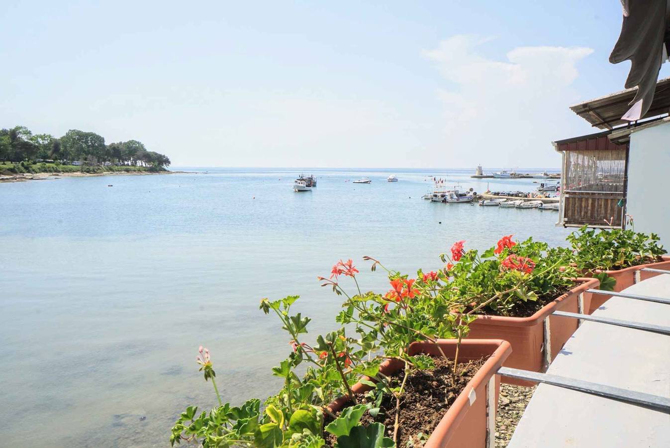 Entire holiday apartment, Holiday apartment with sea view  in Umag, Umag Region