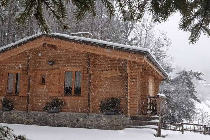 Chalet pour 6 personnes, avec balcon et jardin, animaux acceptés - 1