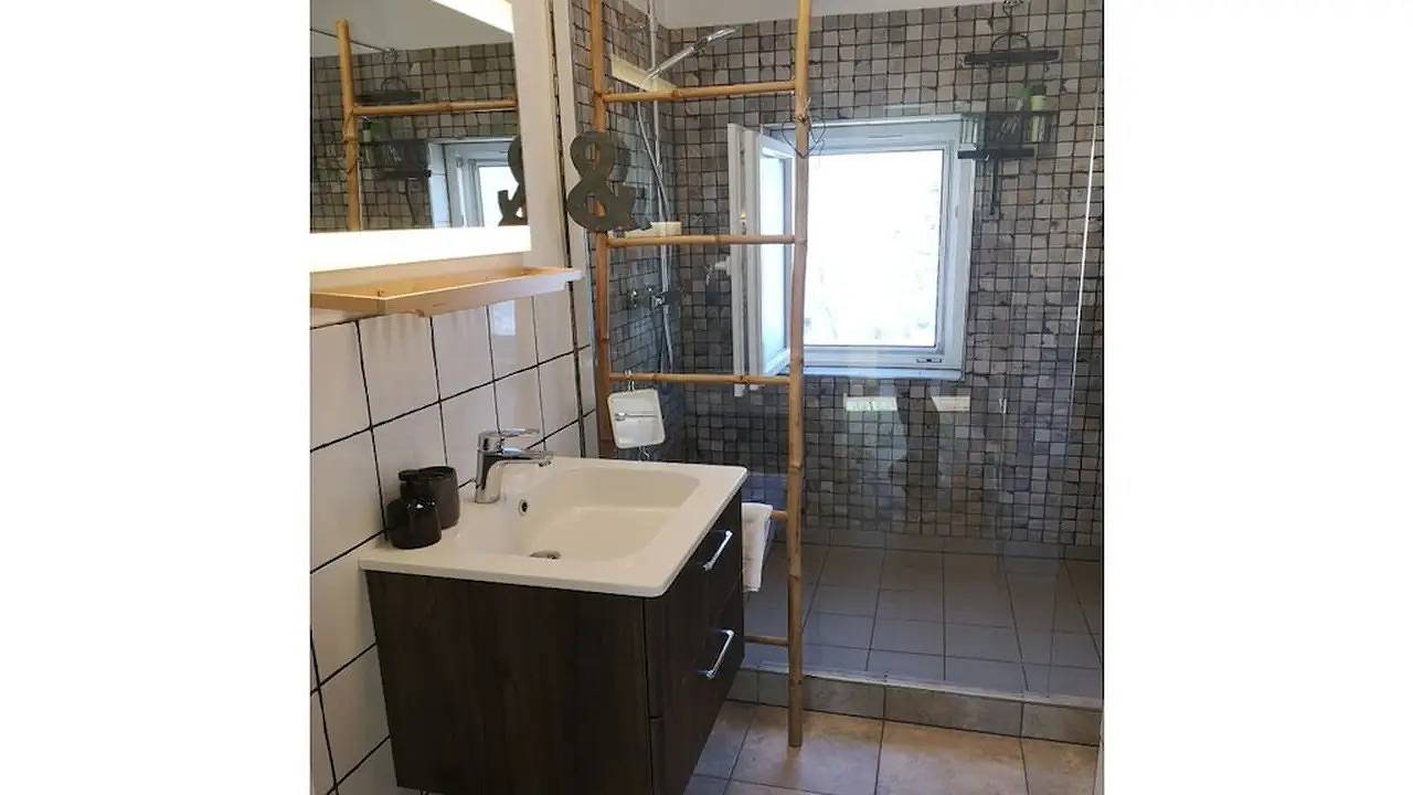 Ferienhaus für 8 Personen (160 m²) in Goslar-Hahnenklee in Hahnenklee, Goslar