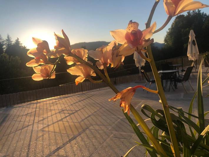 Location de vacances pour 2 personnes, avec jardin et piscine dans Caniçada - 4