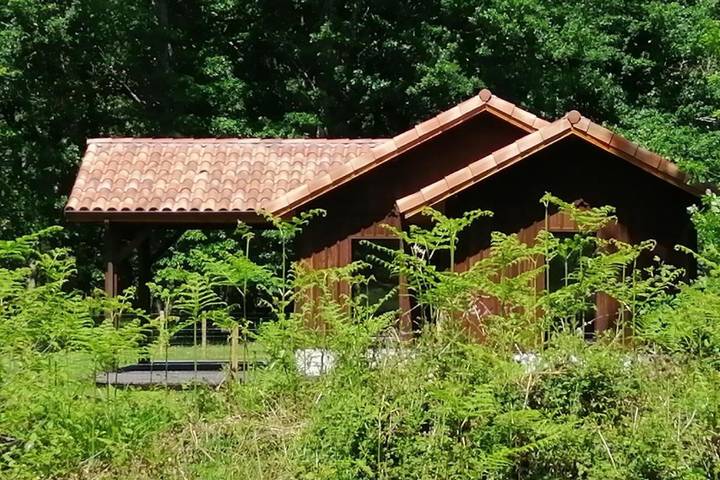 Location de vacances pour 4 personnes, avec vue et terrasse ainsi que piscine et jardin à Pissos - 2