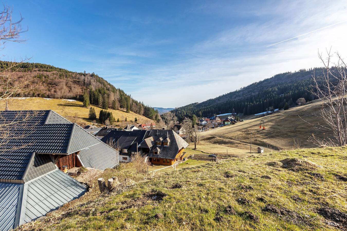 Ganze Wohnung, Ferienwohnung Hedi, 35 qm mit Bergblick, Balkon und Wi-Fi in Todtnau, Südschwarzwald