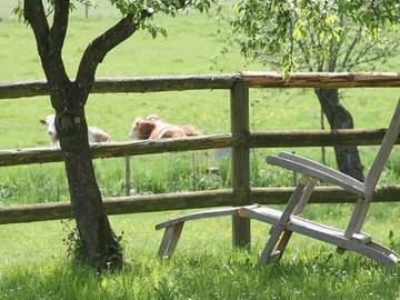 Bauernhof für 4 Personen in Waldkraiburg, Inn-Salzach Region, Bild 4