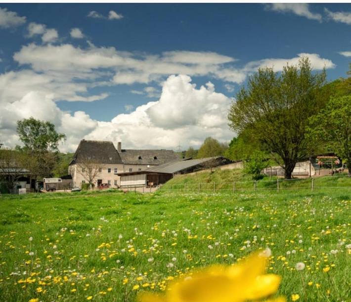 Ferienwohnung für 2 Personen, mit Garten und Ausblick in Wittlich