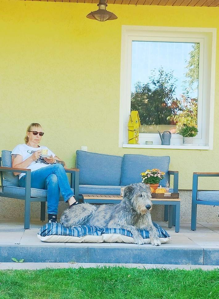 Nimm dir eine kleine Auszeit – ideal für Gäste mit Hund (eingezäunt), Wanderer & Familien in Bleicherode, Nordthüringen (Deutschland)