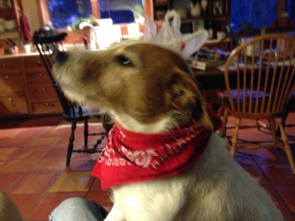 Wunderschön restauriertes Vergnügungshaus in der Main Street über der Blodgett Canyon Wine Bar in Hamilton (MT), Ravalli County