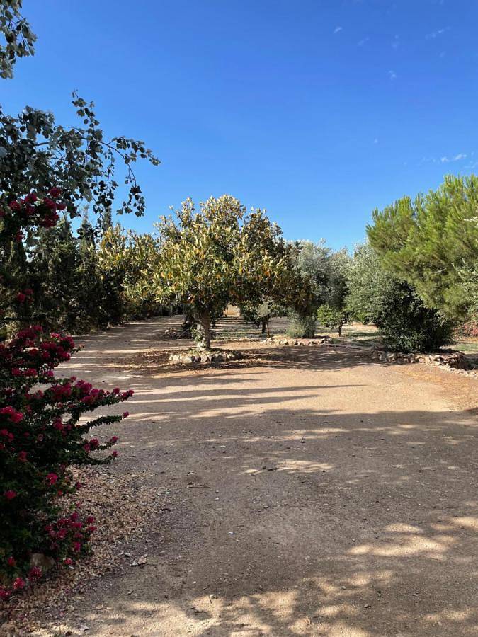 Casa rural para 2 personas, con vistas además de piscina y jardín, Se admiten mascotas en Provincia de Almería - 2