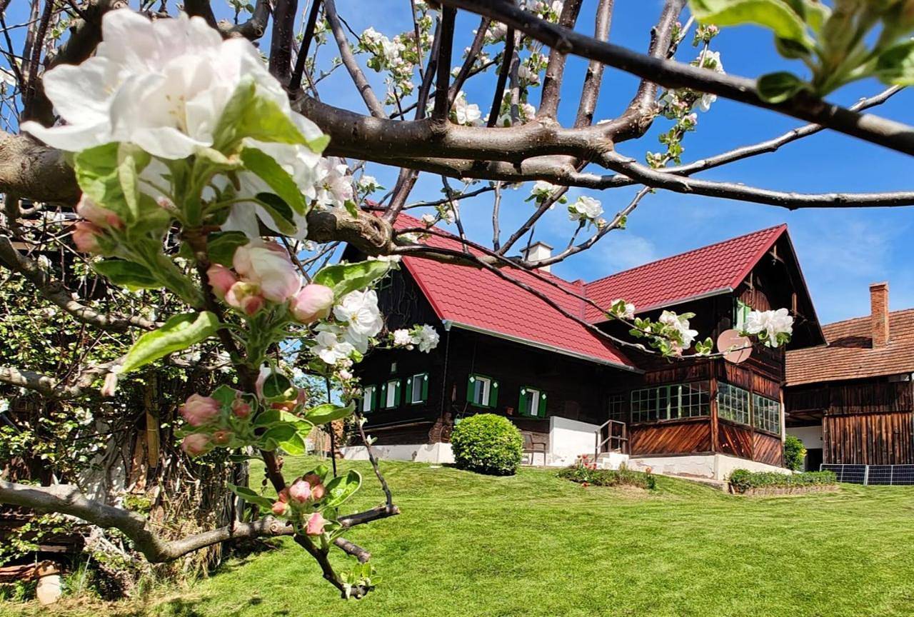 Two-Bedroom House in St. Stefan ob Stainz, Steirerland