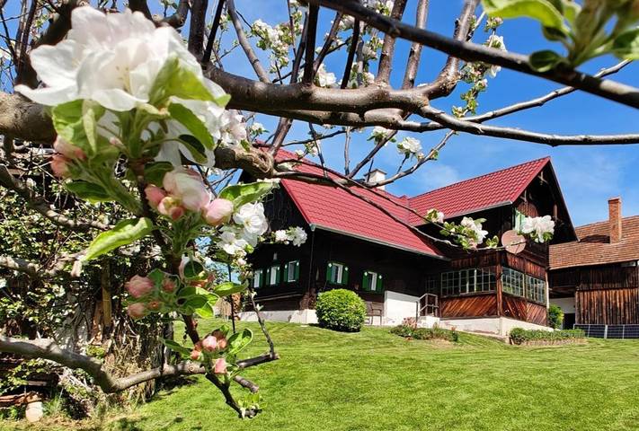 Ferienhaus für 4 Personen, mit Terrasse und Garten sowie Pool und Ausblick in Weststeiermark - 2