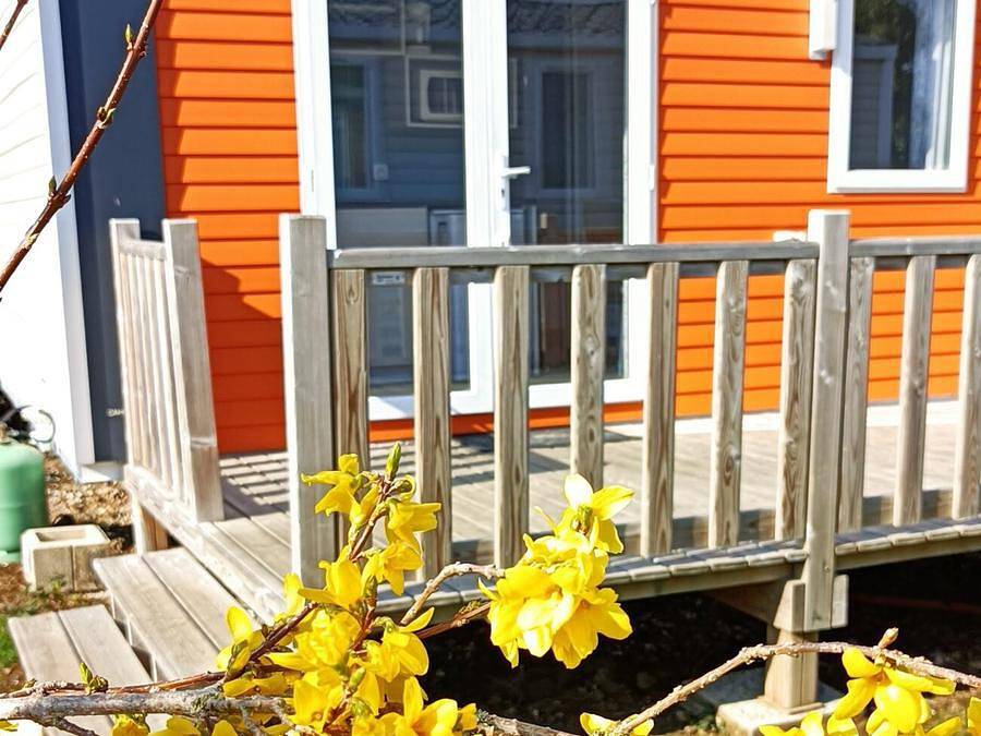 Flower Camping Vitamin - Mobile home 2 persons - Cahita Standard 17.8m² (1 bedroom) + Tv + Terrace in Saint-Aubin-sur-Scie, Dieppe region
