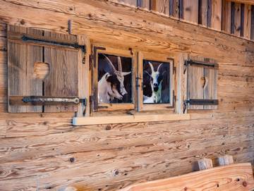 Hütte für 5 Personen in Grünenbach, Allgäuer Alpen, Bild 3