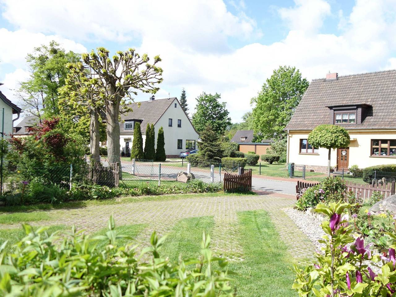 Ganze Ferienwohnung, Ferienwohnung Baum - Ferienwohnung in Rechlin, Müritz